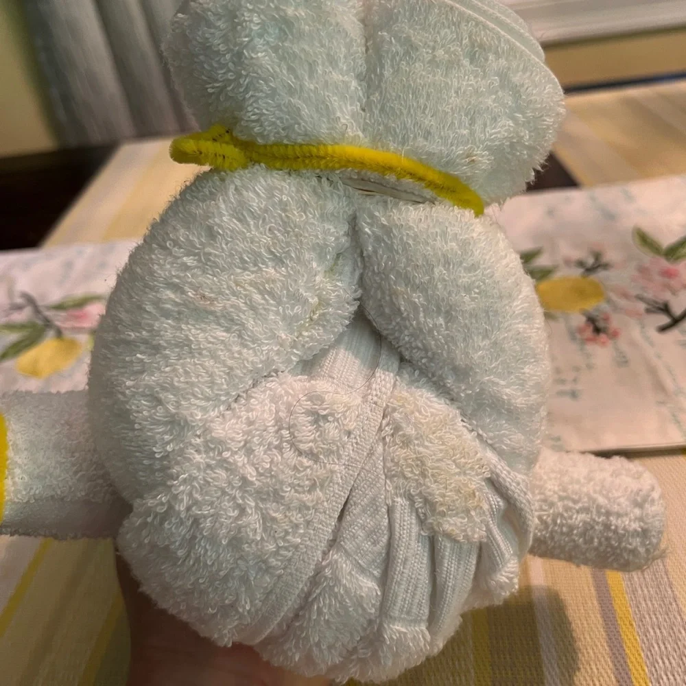 Walt Disney World Towel Animal